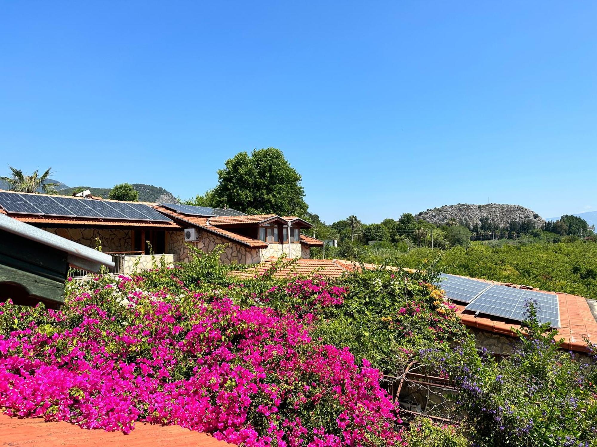 Bahaus Resort Dalyan Eksteriør bilde