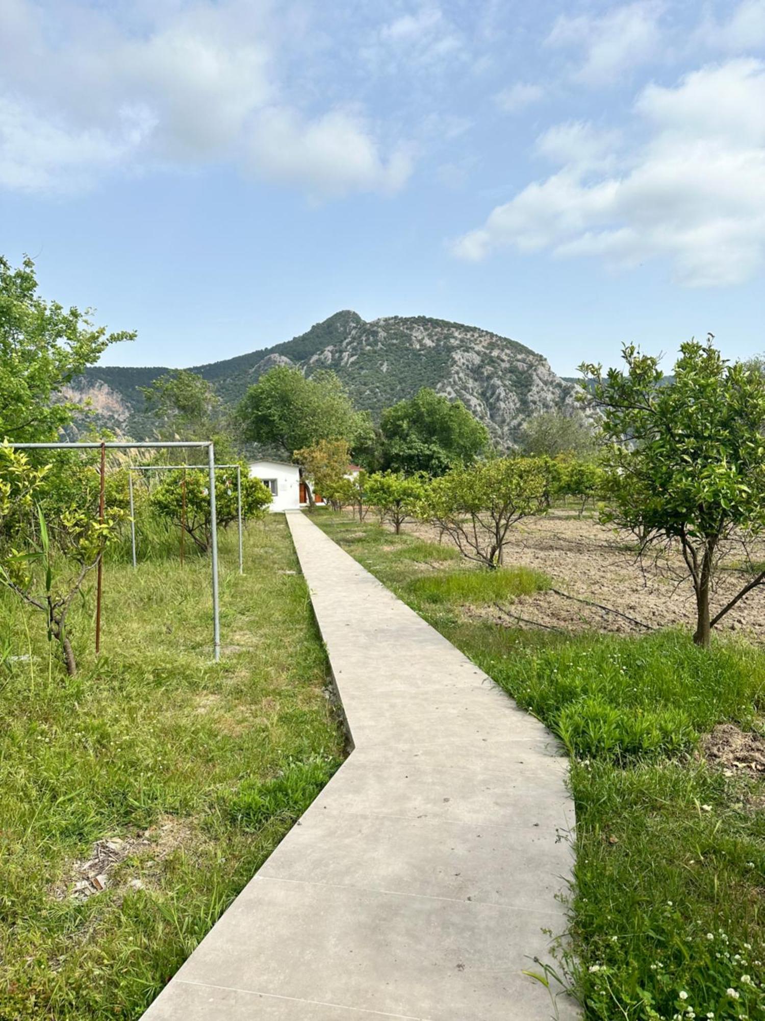 Bahaus Resort Dalyan Rom bilde