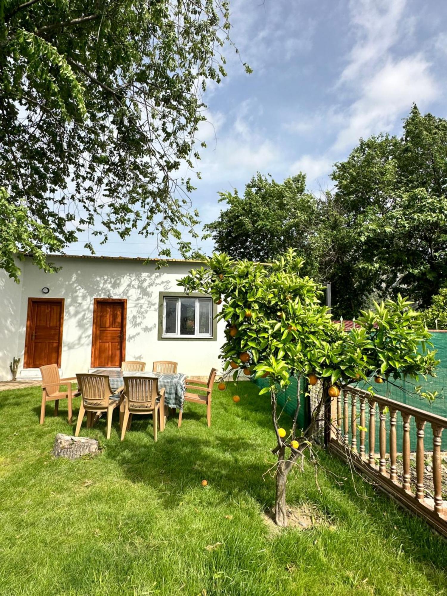 Bahaus Resort Dalyan Rom bilde