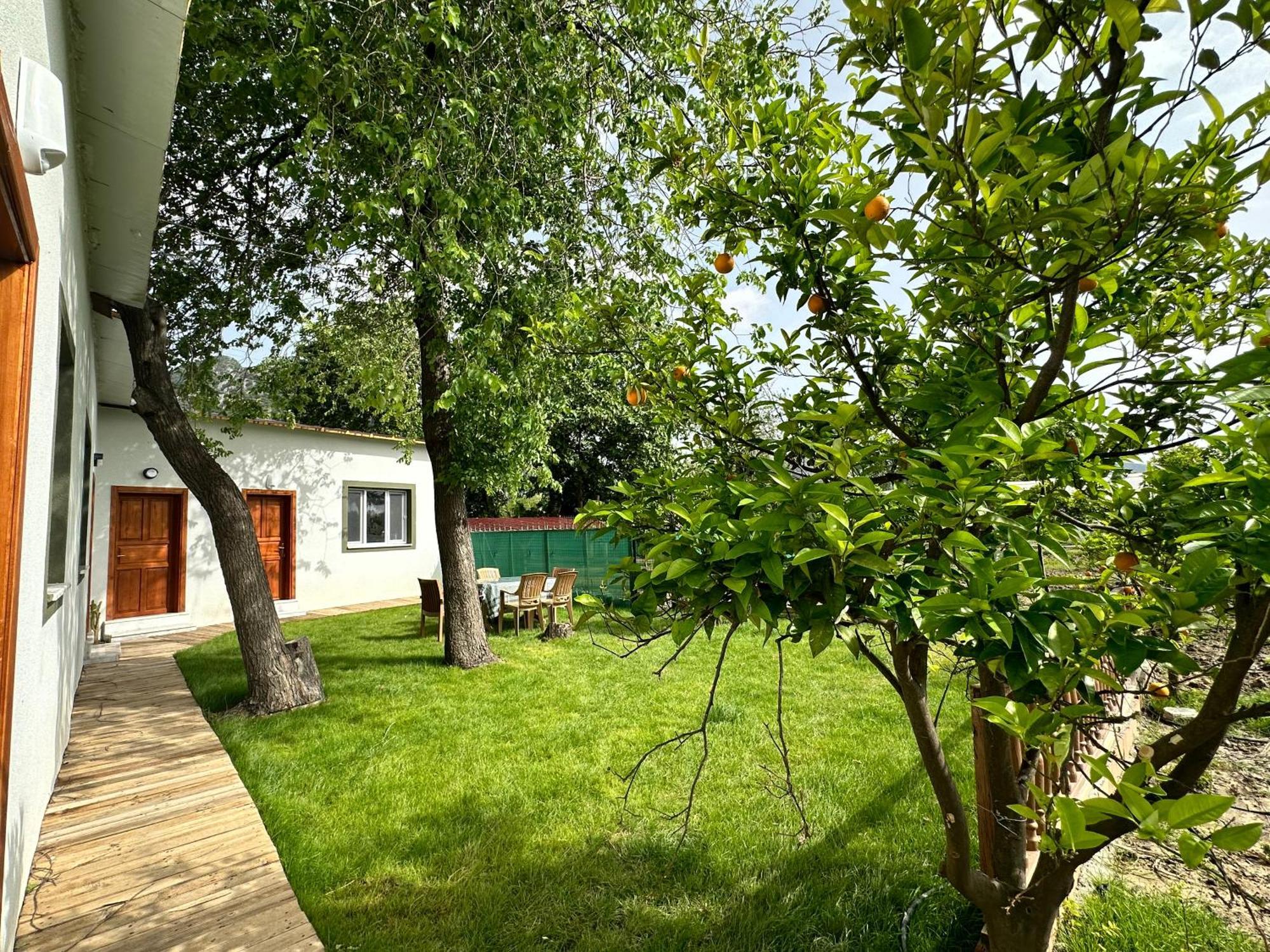 Bahaus Resort Dalyan Rom bilde